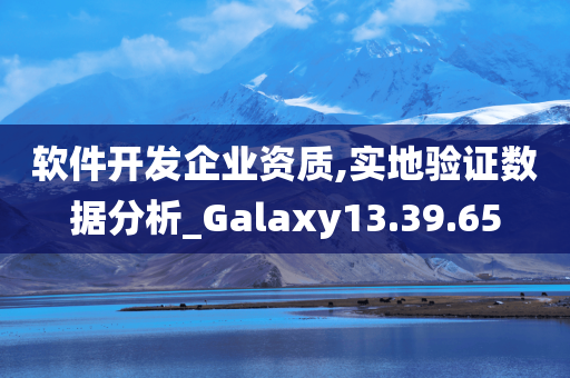 软件开发企业资质,实地验证数据分析_Galaxy13.39.65