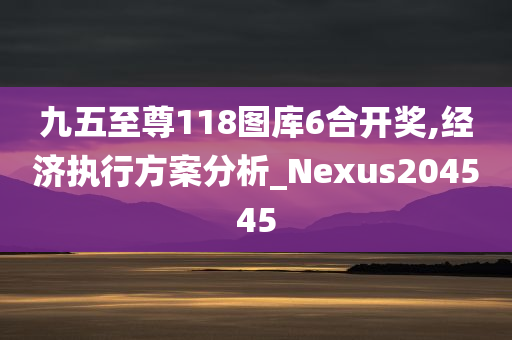 九五至尊118图库6合开奖,经济执行方案分析_Nexus204545