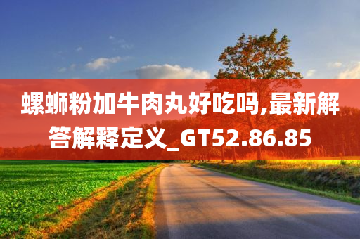 螺蛳粉加牛肉丸好吃吗,最新解答解释定义_GT52.86.85