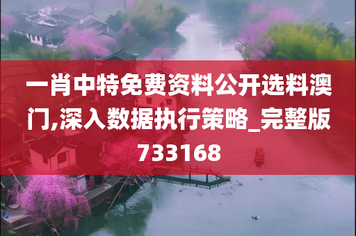 一肖中特免费资料公开选料澳门,深入数据执行策略_完整版733168