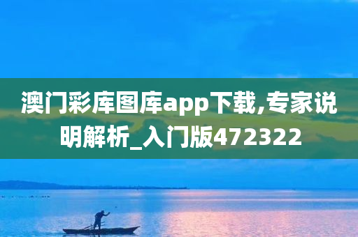 澳门彩库图库app下载,专家说明解析_入门版472322