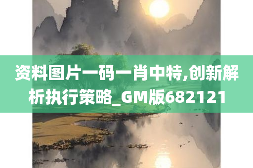 资料图片一码一肖中特,创新解析执行策略_GM版682121