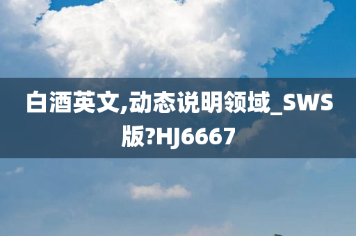 白酒英文,动态说明领域_SWS版?HJ6667