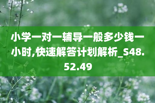 小学一对一辅导一般多少钱一小时,快速解答计划解析_S48.52.49