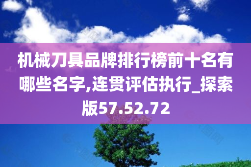 机械刀具品牌排行榜前十名有哪些名字,连贯评估执行_探索版57.52.72