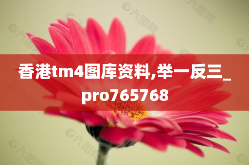 香港tm4图库资料,举一反三_pro765768