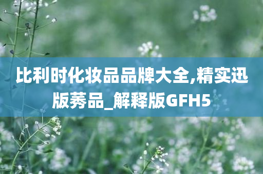 比利时化妆品品牌大全,精实迅版莠品_解释版GFH5