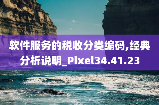 软件服务的税收分类编码,经典分析说明_Pixel34.41.23