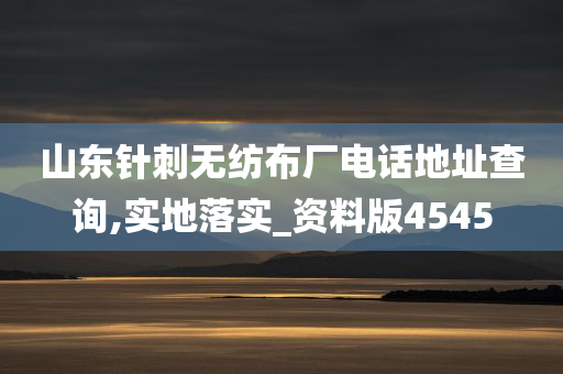 山东针刺无纺布厂电话地址查询,实地落实_资料版4545