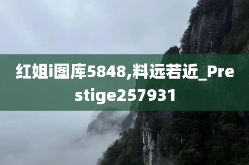 红姐i图库5848,料远若近_Prestige257931