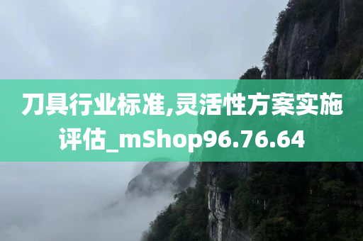 刀具行业标准,灵活性方案实施评估_mShop96.76.64