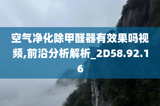 空气净化除甲醛器有效果吗视频,前沿分析解析_2D58.92.16