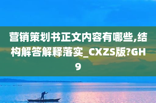 营销策划书正文内容有哪些,结构解答解释落实_CXZS版?GH9