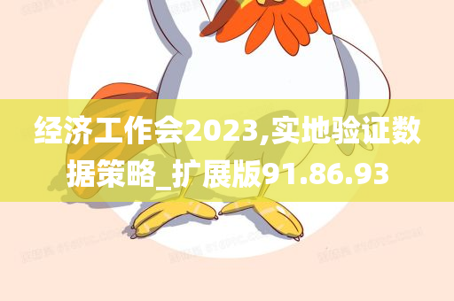 经济工作会2023,实地验证数据策略_扩展版91.86.93