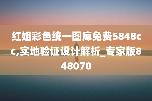 红姐彩色统一图库免费5848cc,实地验证设计解析_专家版848070