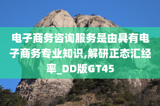 电子商务咨询服务是由具有电子商务专业知识,解研正态汇经率_DD版GT45