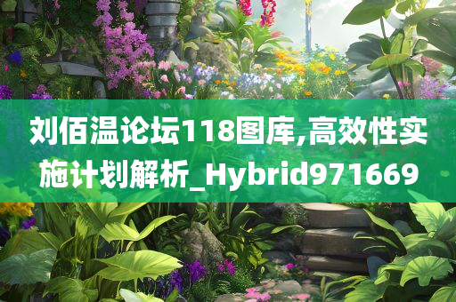 刘佰温论坛118图库,高效性实施计划解析_Hybrid971669