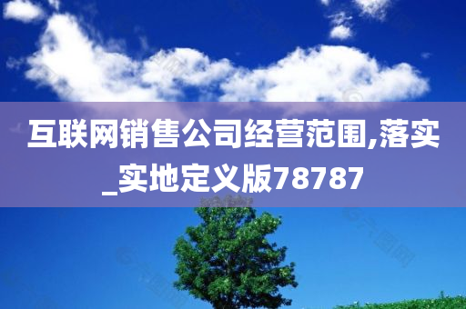 互联网销售公司经营范围,落实_实地定义版78787