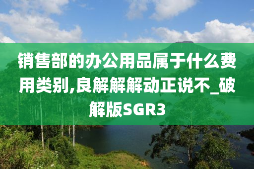 销售部的办公用品属于什么费用类别,良解解解动正说不_破解版SGR3