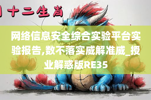 网络信息安全综合实验平台实验报告,数不落实威解准威_授业解惑版RE35