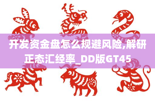 开发资金盘怎么规避风险,解研正态汇经率_DD版GT45