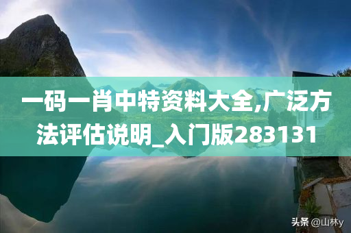 一码一肖中特资料大全,广泛方法评估说明_入门版283131