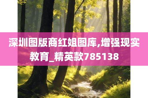 深圳图版商红姐图库,增强现实教育_精英款785138