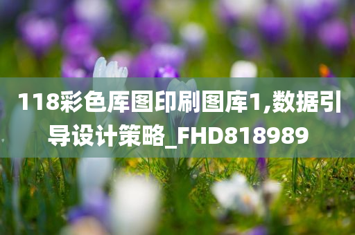 118彩色厍图印刷图库1,数据引导设计策略_FHD818989