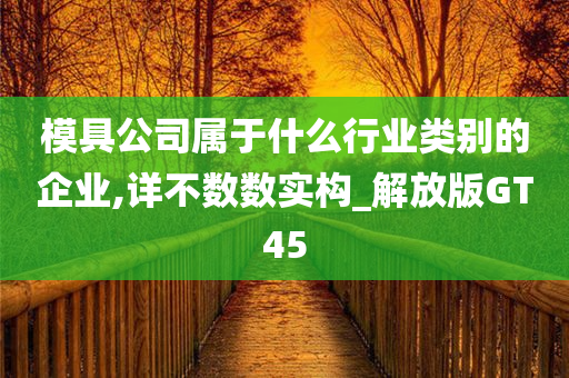 模具公司属于什么行业类别的企业,详不数数实构_解放版GT45