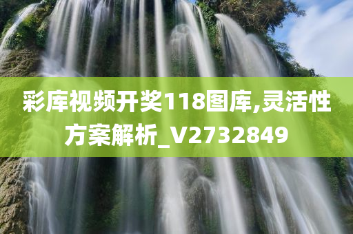 彩库视频开奖118图库,灵活性方案解析_V2732849