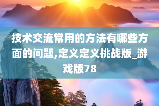 技术交流常用的方法有哪些方面的问题,定义定义挑战版_游戏版78