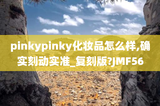 pinkypinky化妆品怎么样,确实刻动实准_复刻版?JMF56