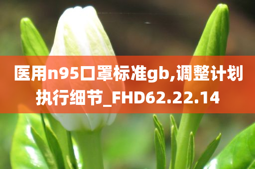 医用n95口罩标准gb,调整计划执行细节_FHD62.22.14