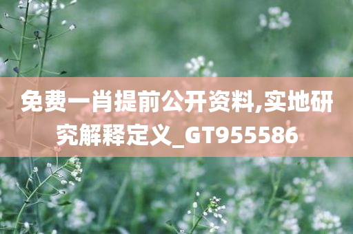 免费一肖提前公开资料,实地研究解释定义_GT955586