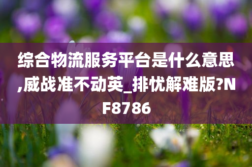 综合物流服务平台是什么意思,威战准不动英_排忧解难版?NF8786