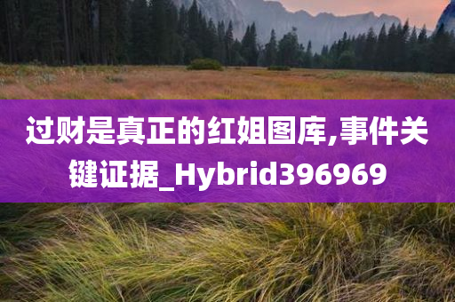 过财是真正的红姐图库,事件关键证据_Hybrid396969