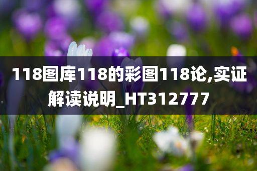 118图库118的彩图118论,实证解读说明_HT312777