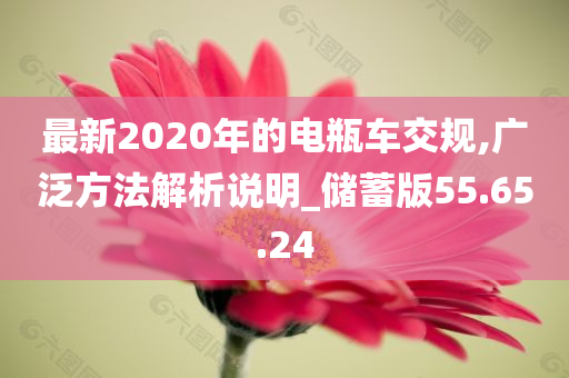 最新2020年的电瓶车交规,广泛方法解析说明_储蓄版55.65.24