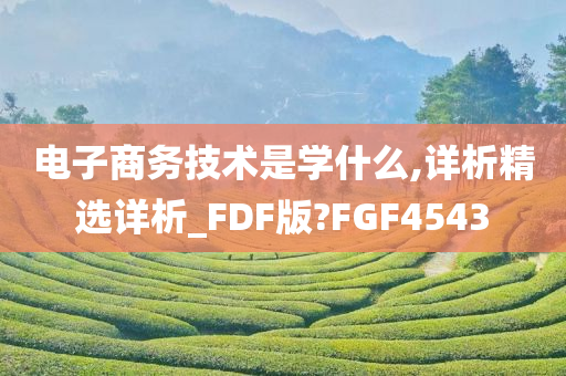 电子商务技术是学什么,详析精选详析_FDF版?FGF4543