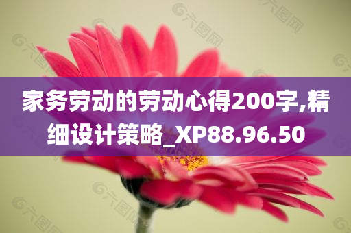 家务劳动的劳动心得200字,精细设计策略_XP88.96.50