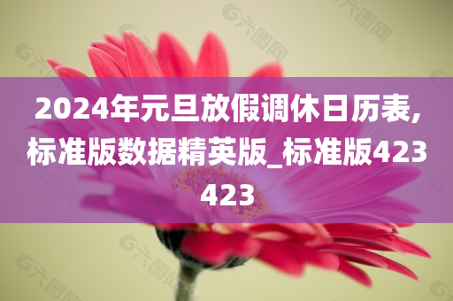 2024年元旦放假调休日历表,标准版数据精英版_标准版423423