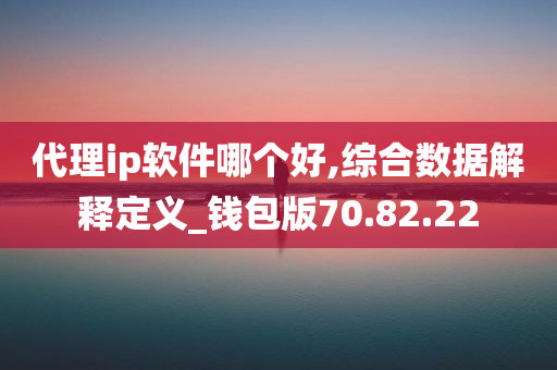 代理ip软件哪个好,综合数据解释定义_钱包版70.82.22