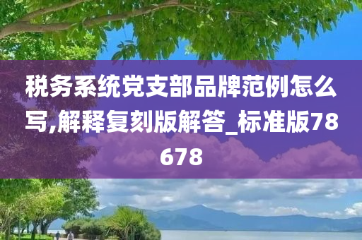 税务系统党支部品牌范例怎么写,解释复刻版解答_标准版78678