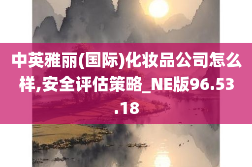 中英雅丽(国际)化妆品公司怎么样,安全评估策略_NE版96.53.18