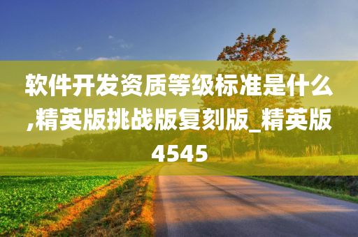 软件开发资质等级标准是什么,精英版挑战版复刻版_精英版4545