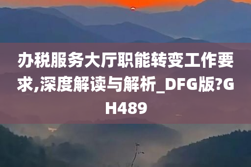 办税服务大厅职能转变工作要求,深度解读与解析_DFG版?GH489