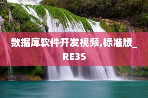 数据库软件开发视频,标准版_RE35