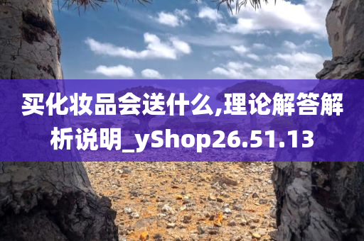 买化妆品会送什么,理论解答解析说明_yShop26.51.13