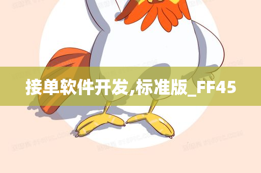 接单软件开发,标准版_FF45