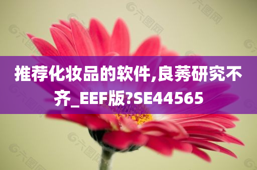 推荐化妆品的软件,良莠研究不齐_EEF版?SE44565